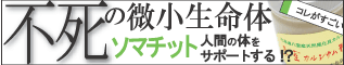 ���Ի����̿�Υ��ޥ��åȴ�ͭ���ʡ˿������륷����