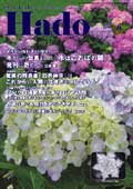 2008ǯ5��� � Hado 